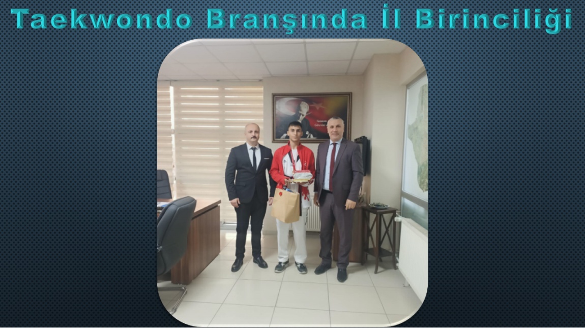 Taekwondo da İl Birinciliği